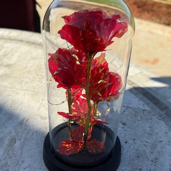 Red Glass Dome with Roses - Picture 4 of 6